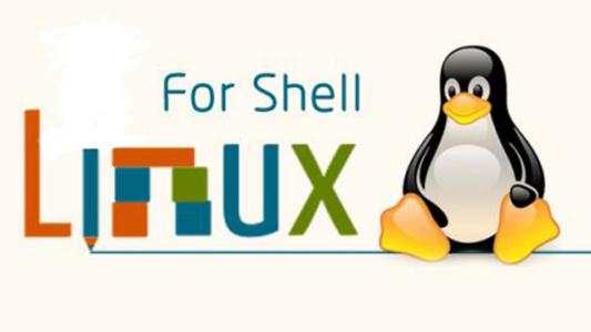 shell下载