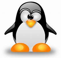 udev