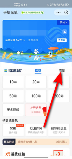 国际流量