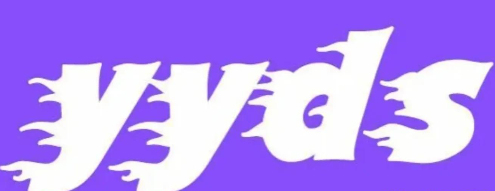 ysy是什么意思