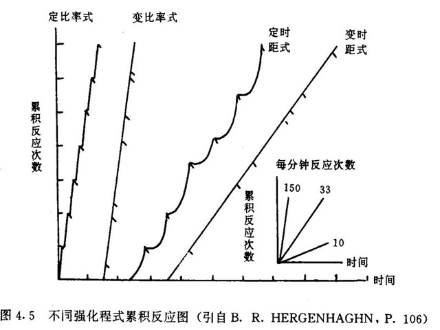 相关链接