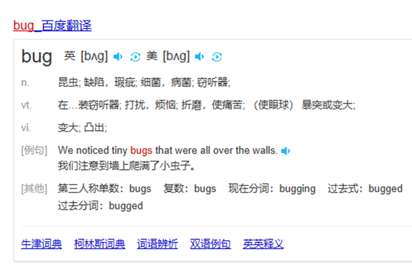 什么是BUG