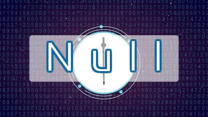 null什么意思