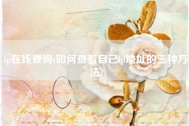 ip在线
