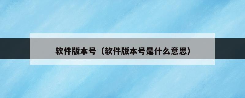 版本号是什么意思