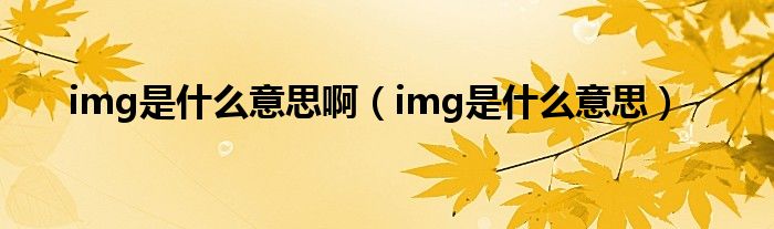 img是什么格式
