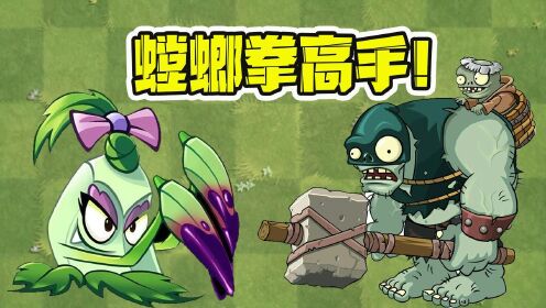 僵尸螳螂