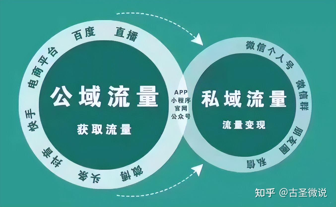 公域