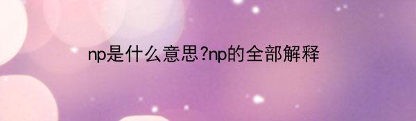np是啥意思