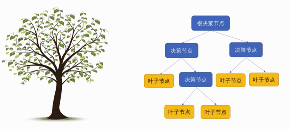 决策树是什么