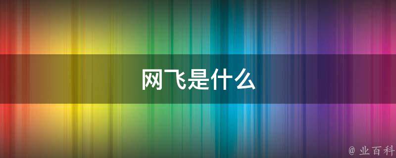 网飞会员