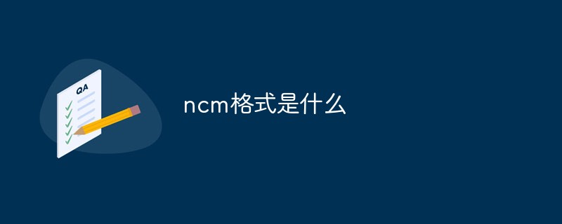 ncm是什么格式
