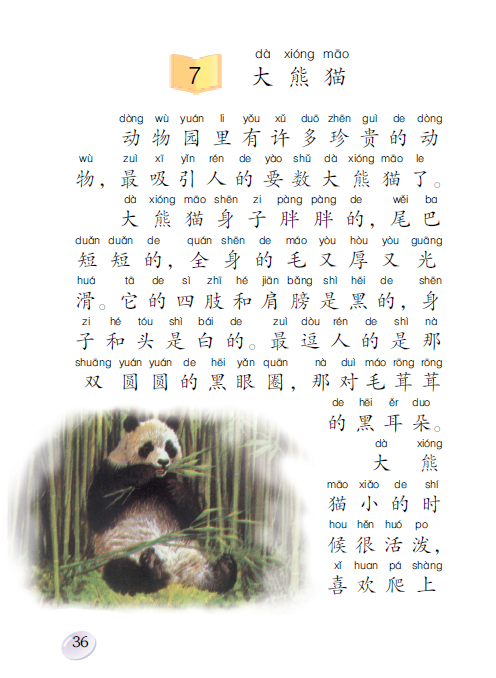 点的拼音怎么写