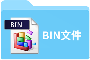 bin是什么格式