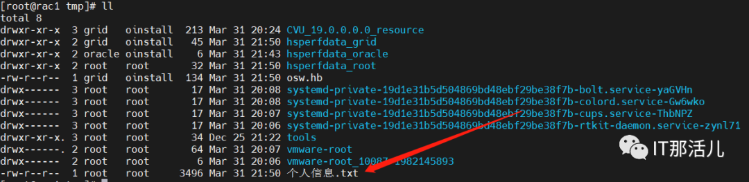 sqlldr