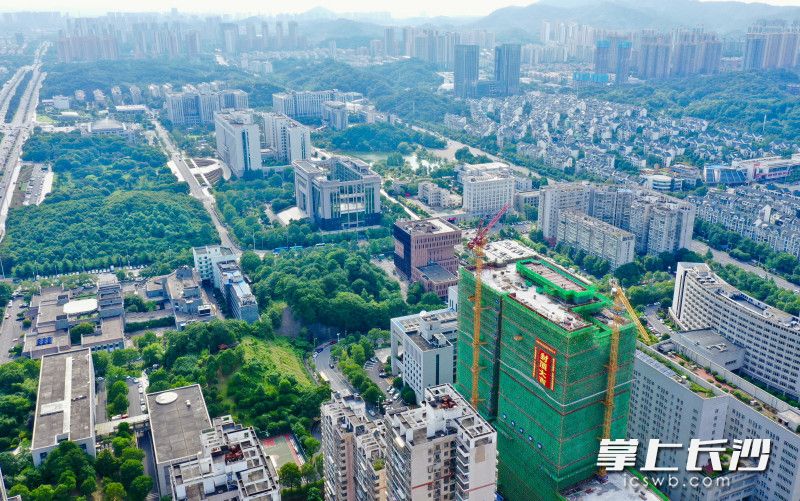 长沙招标备案在哪里