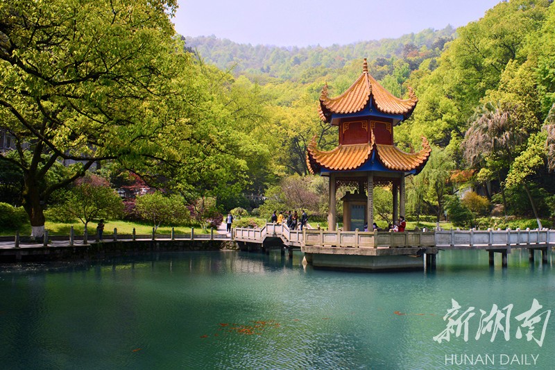 湖南网站建设