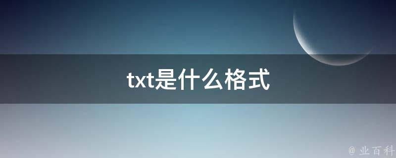 txt是什么格式