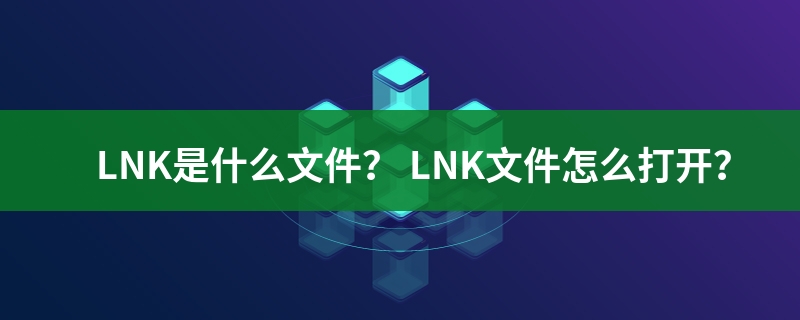 lnk是什么意思