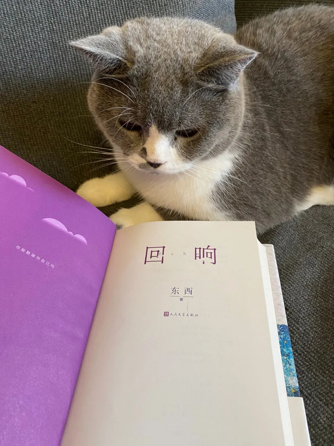 回响的意思