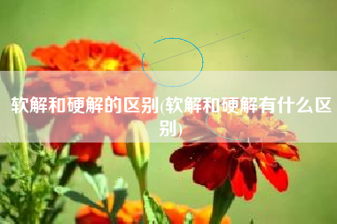 软解和硬解的区别