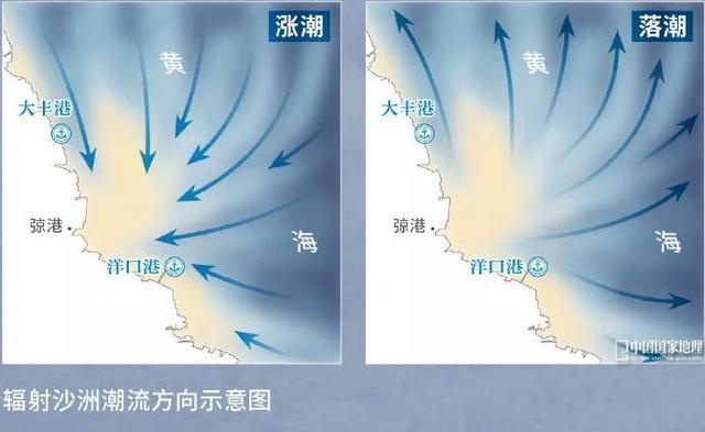 潮是什么结构