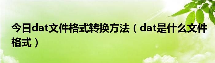 dat是什么格式