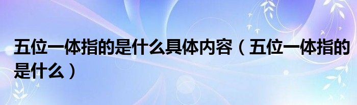 五智指的是什么