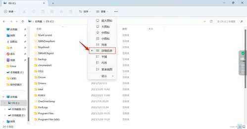 ldd是什么意思