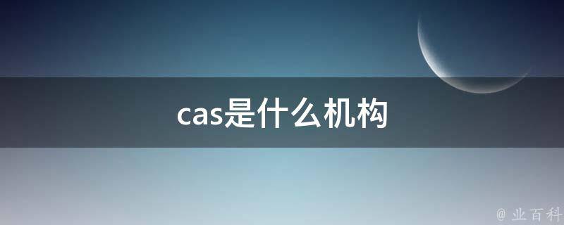 cas是什么意思