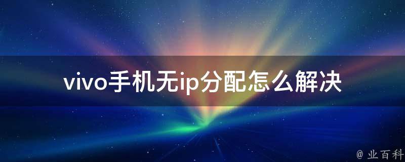 无ip分配