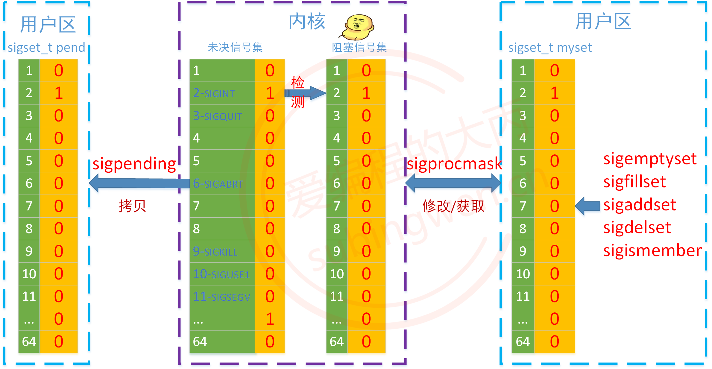 signal函数