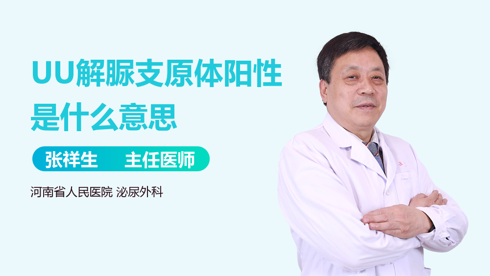 uu什么意思