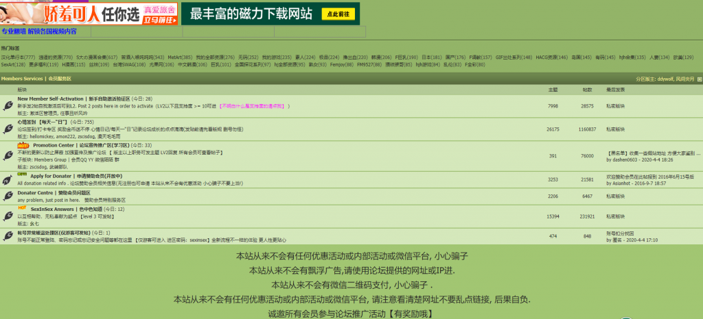 有什么网站