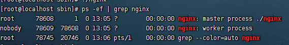 启动nginx