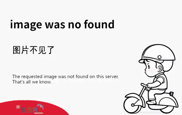 无ip分配