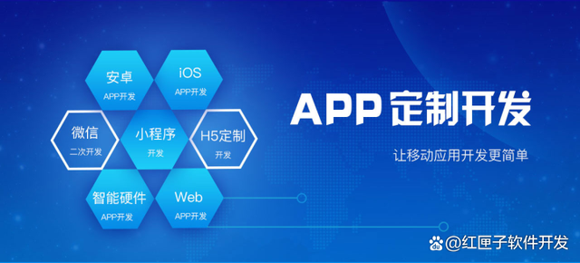 开发软件app