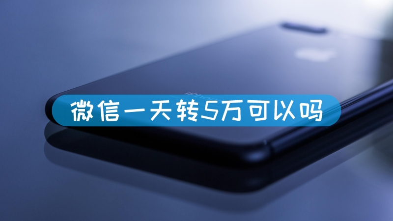 ts是什么文件