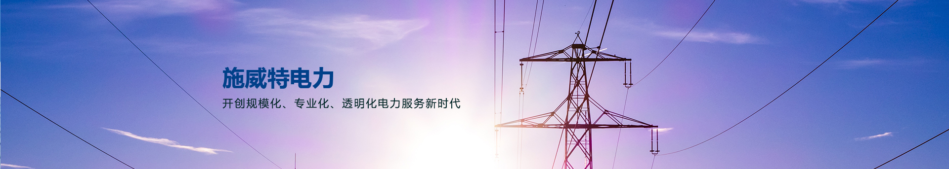 swt项目