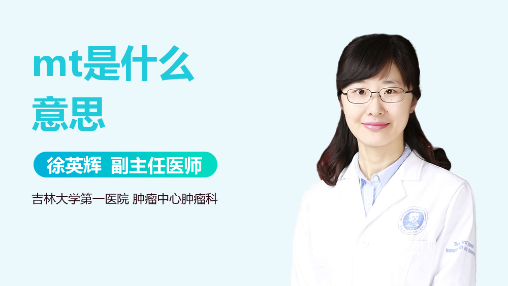 mt是什么意思