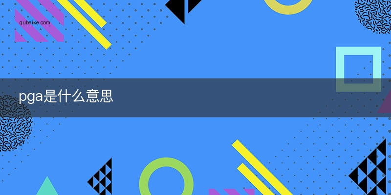 pgr是什么意思