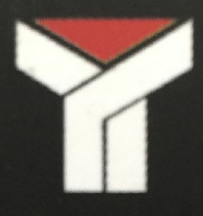 yyt是什么意思