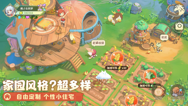 织梦官网