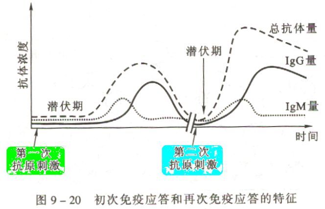 应答的意思