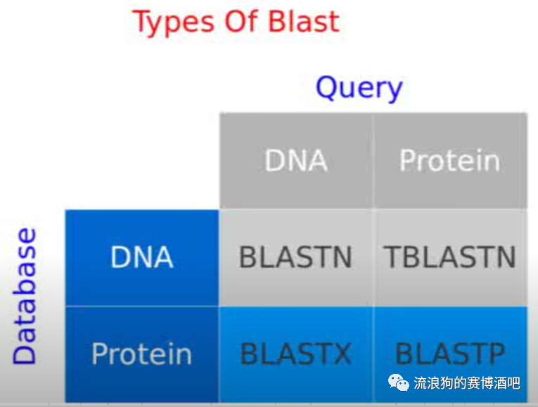 blastp
