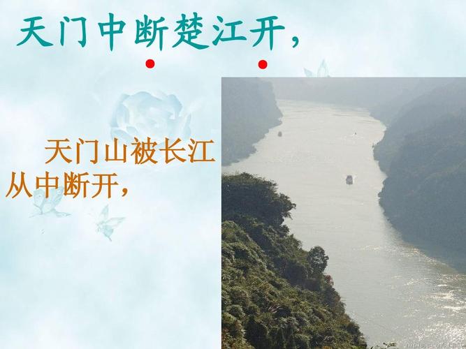 294是什么意思