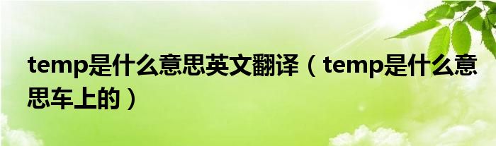 temp是什么