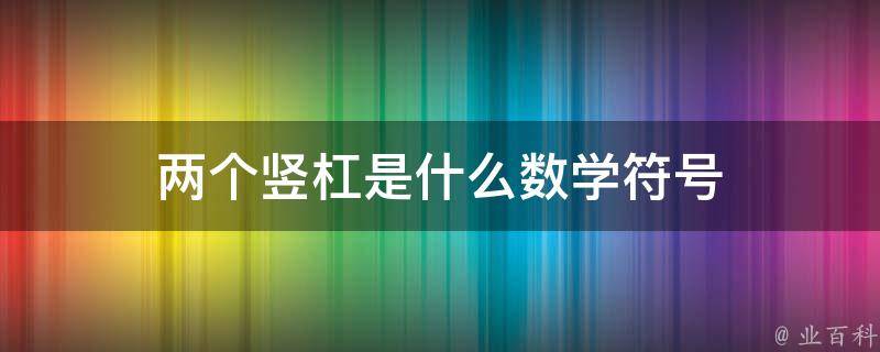 竖杠符号