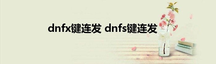 dnfx键连发