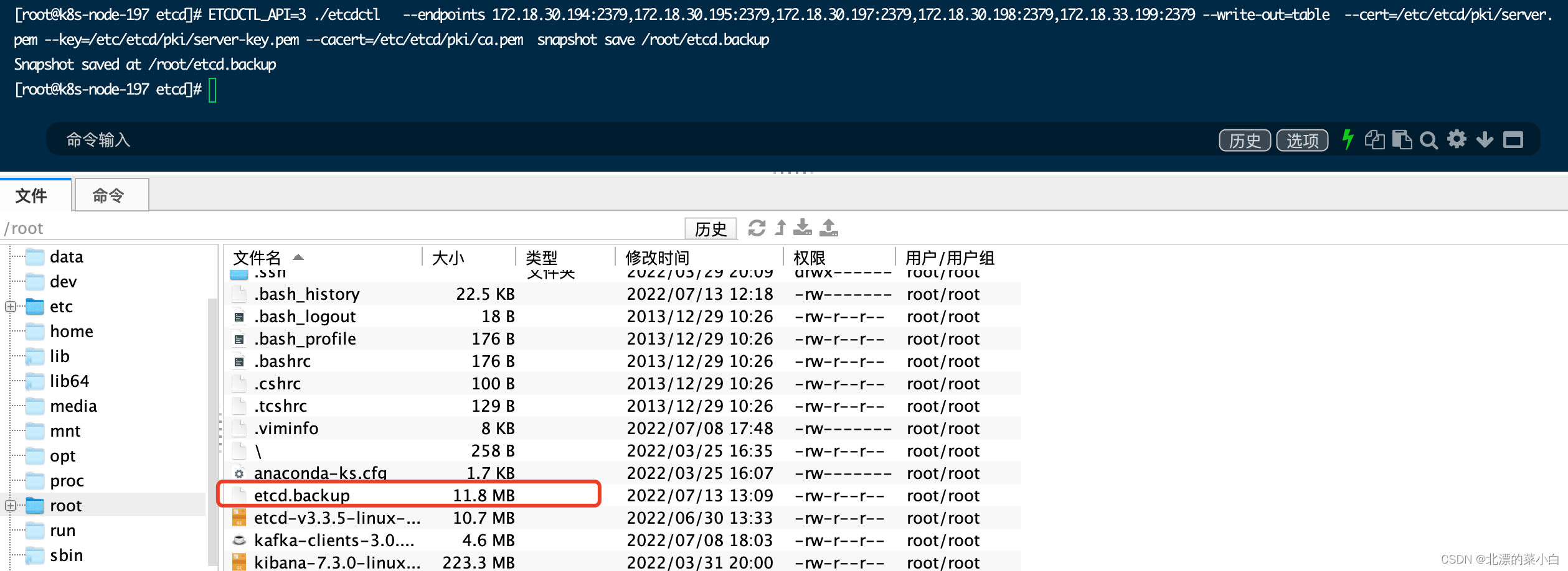 etcdctl